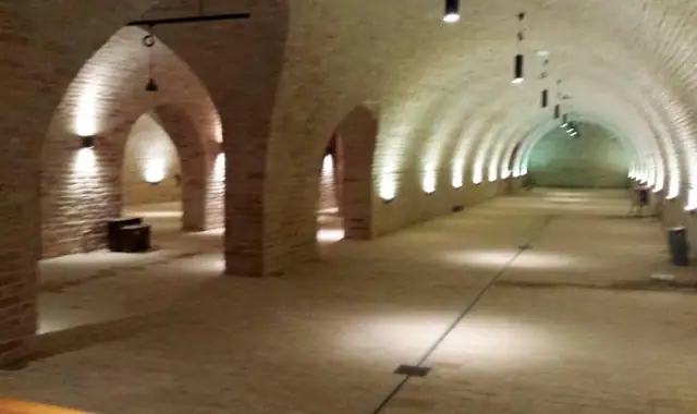 Unique vine production facility in Croatian Slavonia - 6