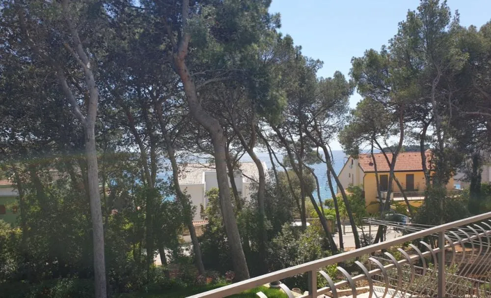 Hotel with 9 rooms in Rovinj, Croatia, for sale