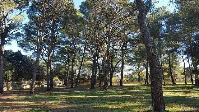 Hotel in Rovinj, Kroatien, zu verkaufen - 13