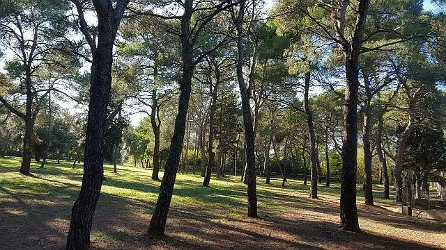 Hotel in Rovinj, Kroatien, zu verkaufen - 10