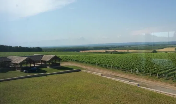 Unique vine production facility in Croatian Slavonia - pic.4 Unique vine production facility in Croatian Slavonia - pic.4