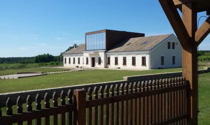 Unique vine production facility in Croatian Slavonia - pic.8 Unique vine production facility in Croatian Slavonia - pic.8