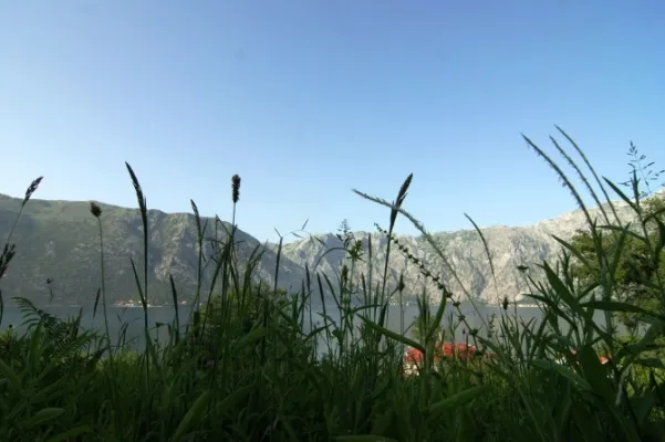 Spacious urbanized land plot in Stoliv meant for lux residence of 43 apartments - pic.5 Spacious urbanized land plot in Stoliv meant for lux residence of 43 apartments - pic.5