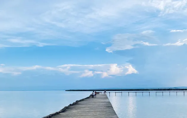 Project of townhouses complex on Neusidler See - pic.3