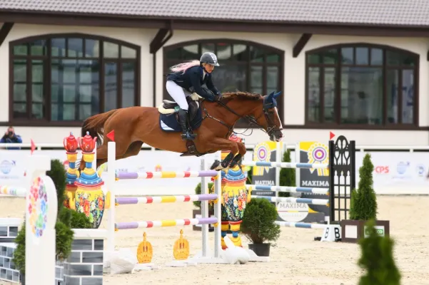 Advantageous 4**** hotel in Salzburg area with riding center - pic.1 Advantageous 4**** hotel in Salzburg area with riding center - pic.1