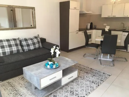 Sale of Aparthotel in Vienna not far from airport, 16 short- and long-term apartments - pic.5 Sale of Aparthotel in Vienna not far from airport, 16 short- and long-term apartments - pic.5